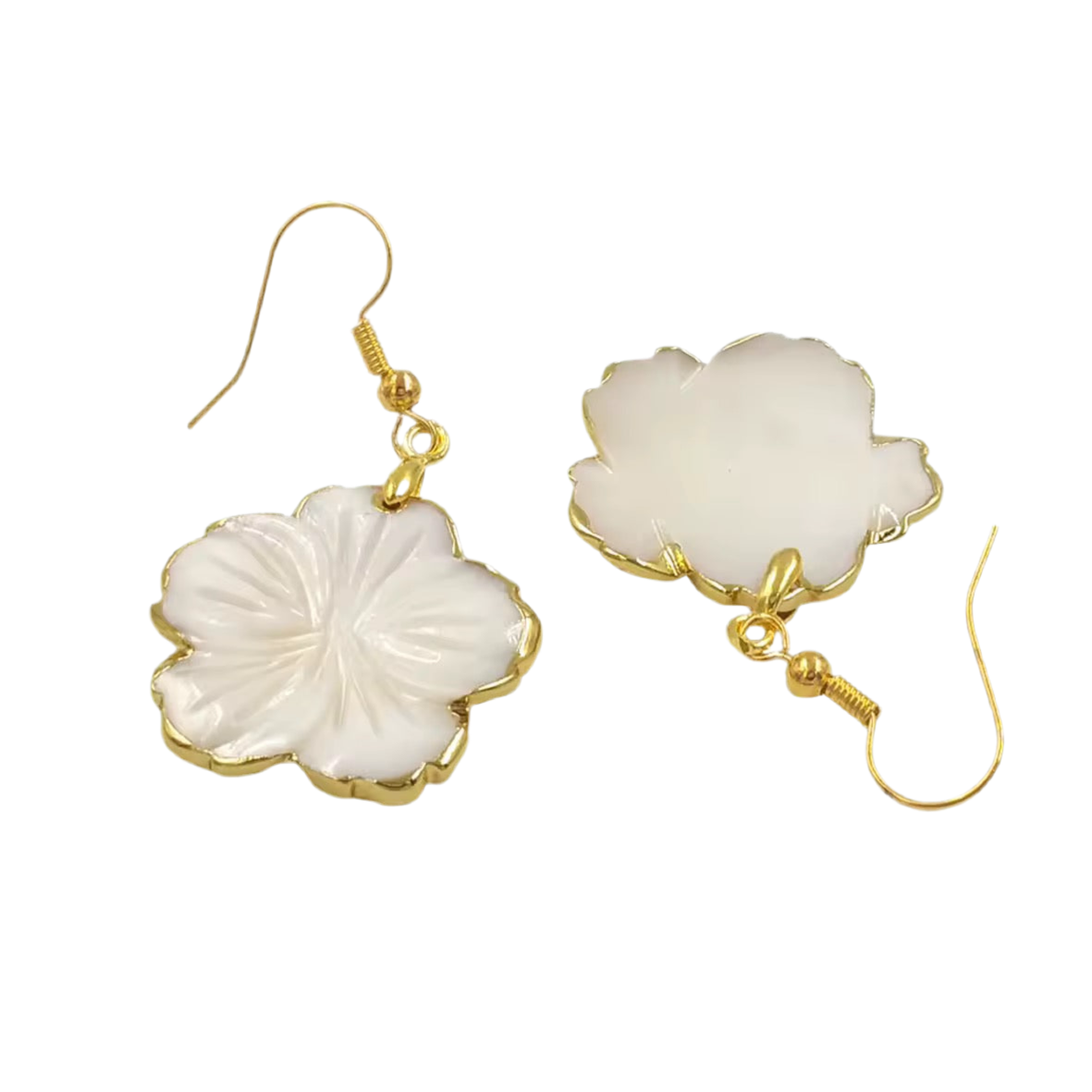 Shell Earrings