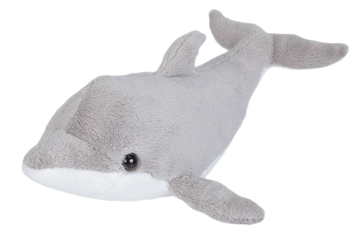 Dolphin
