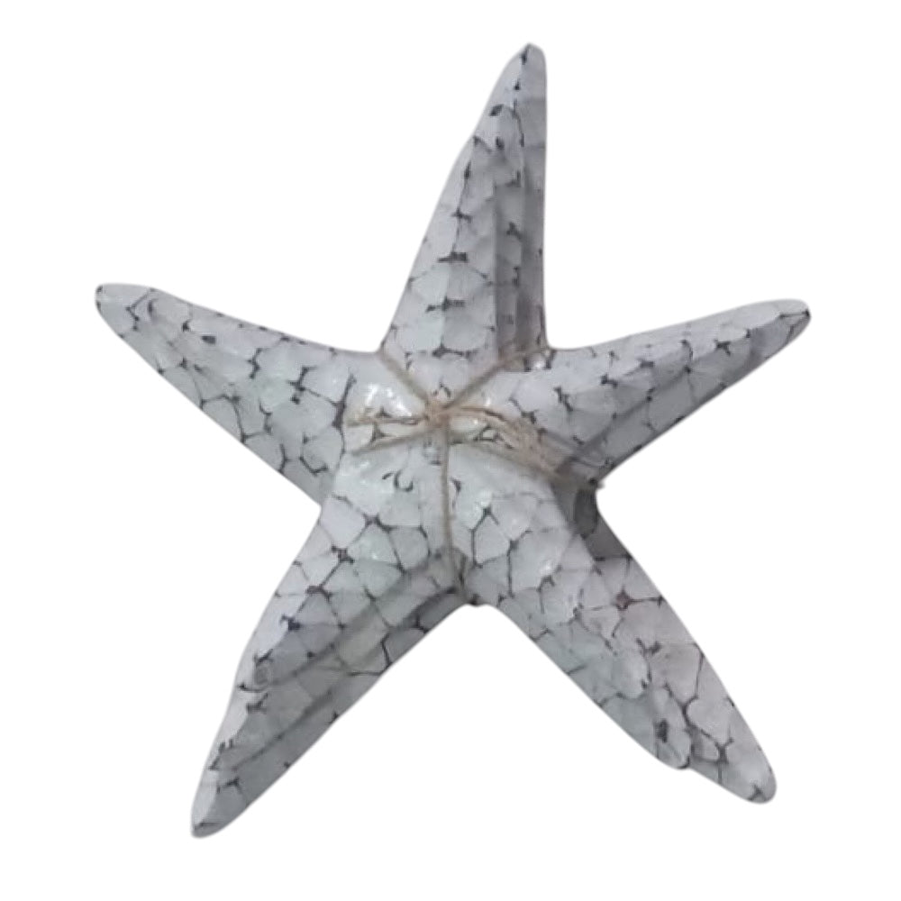 Starfish Set of 3