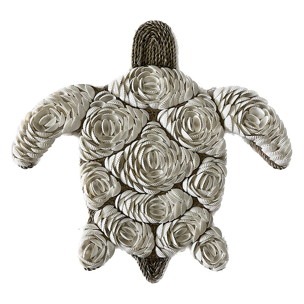 Shell Turtle
