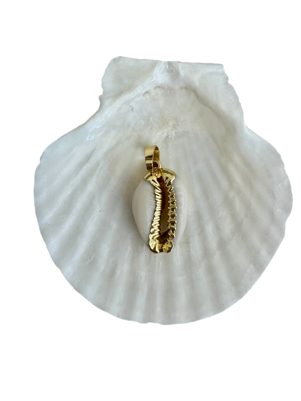Cowrie Shell Charm