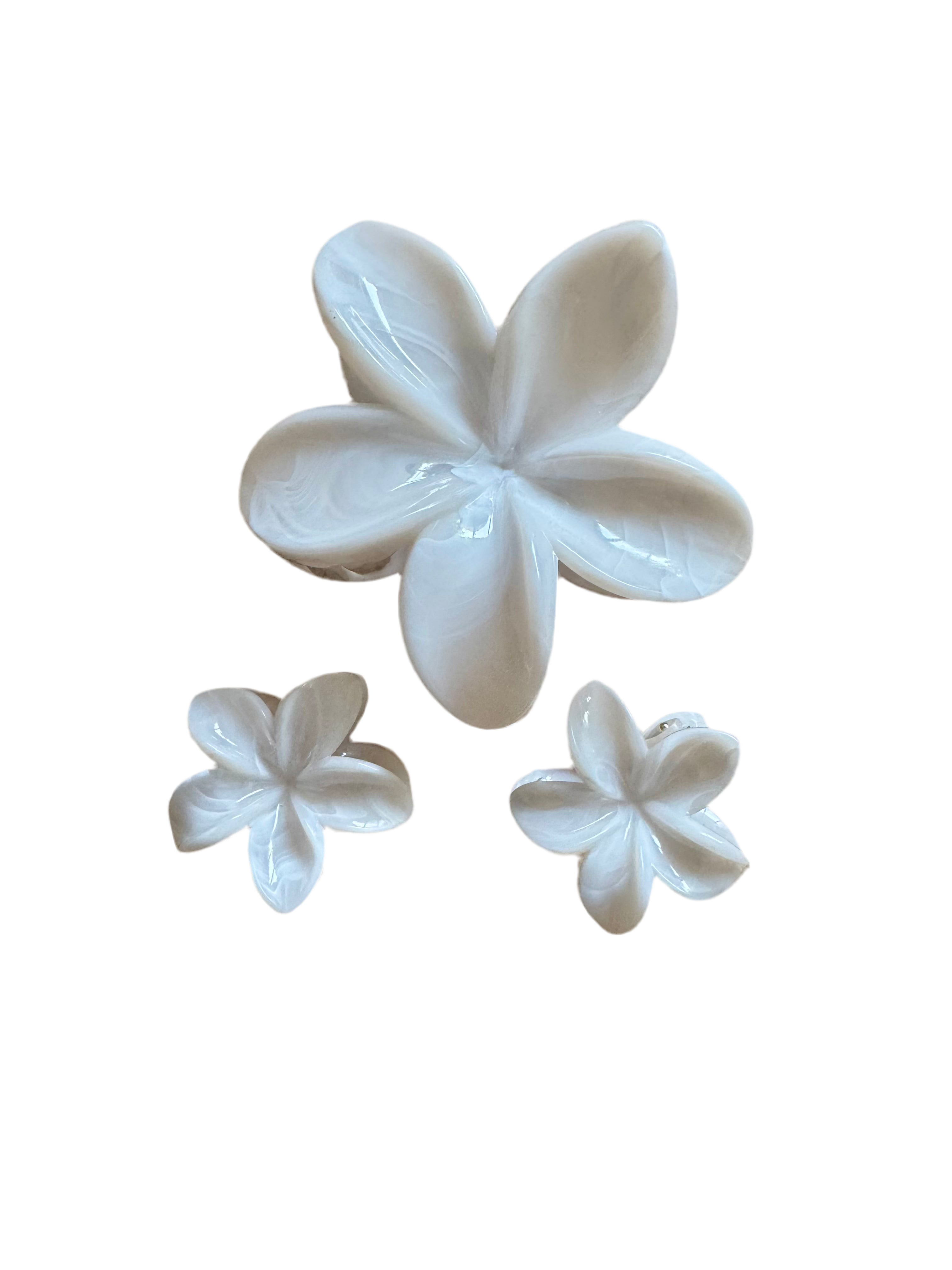 Frangipani hairclaw Set