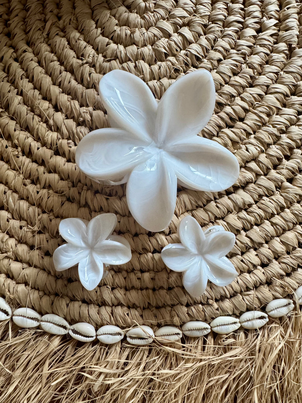 Frangipani hairclaw Set