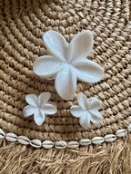 Frangipani hairclaw Set