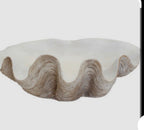 Resin Clam Shell - Small