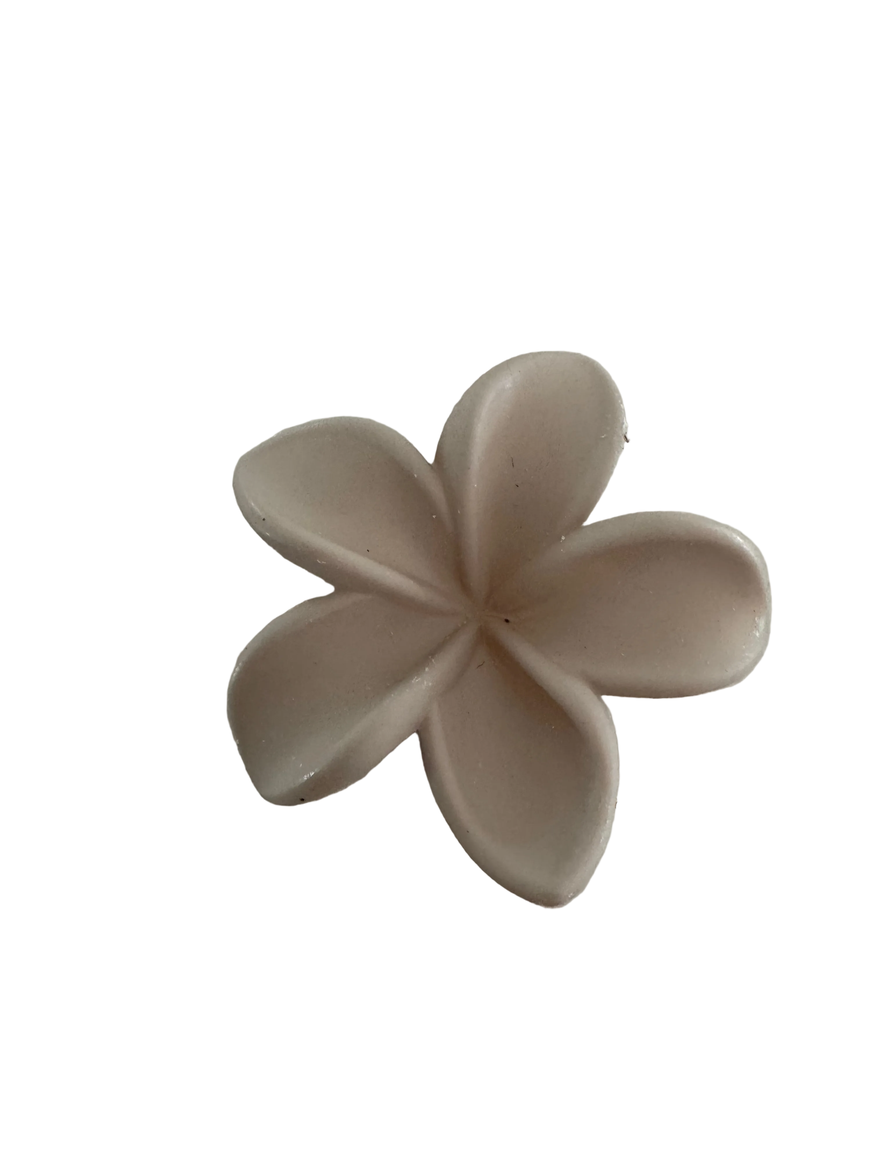 Small Frangipani Claw Clip