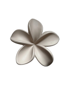 Frangipani Claw Clip