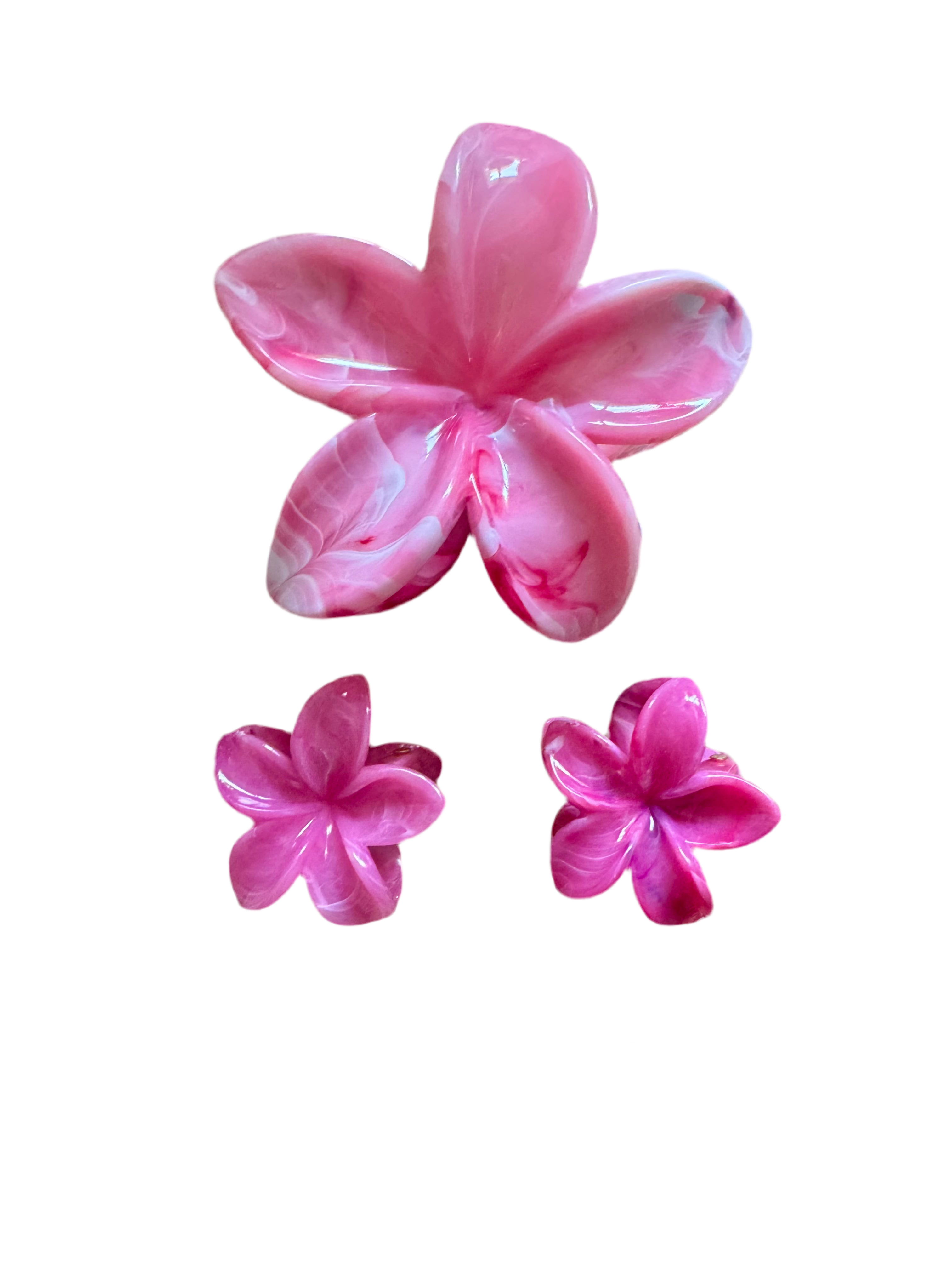 Frangipani hairclaw Set