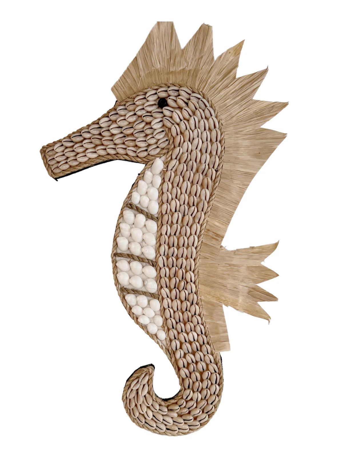 Shell Sea Horse