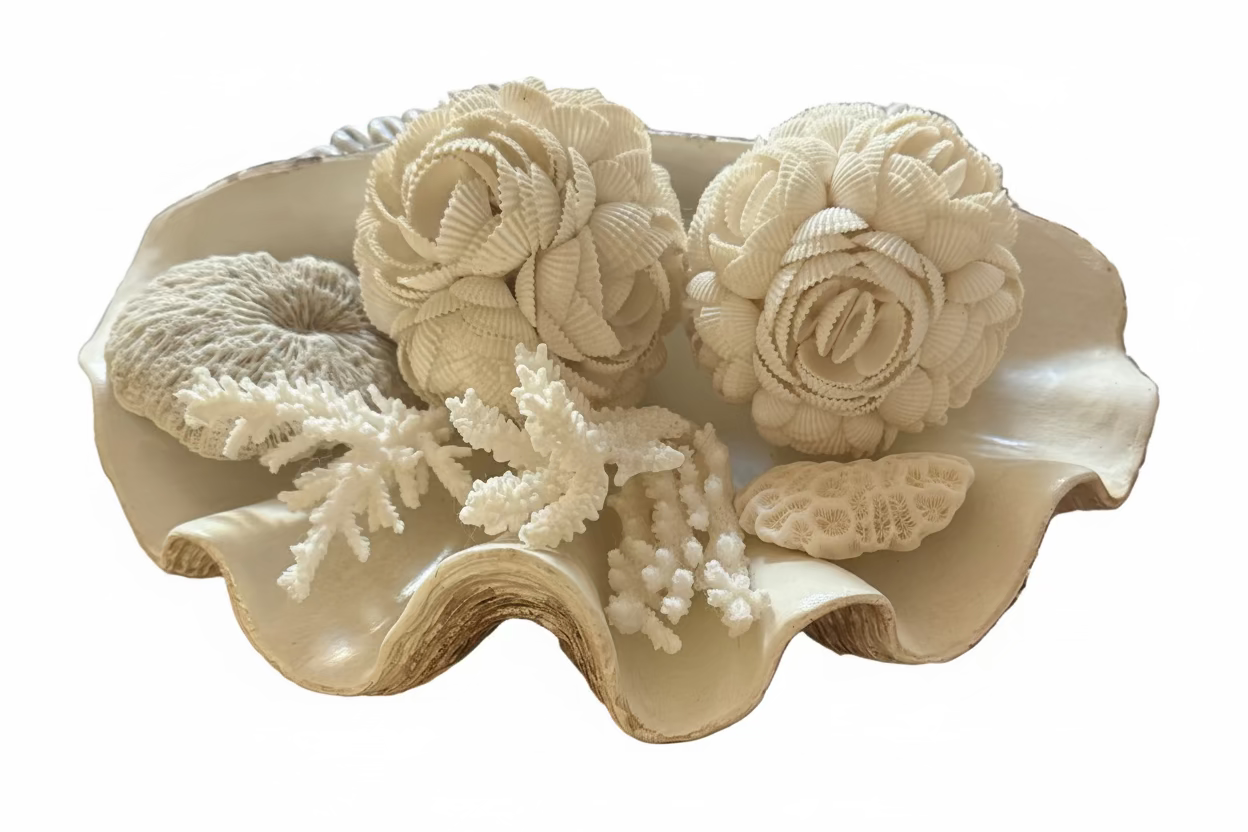 Resin Clam Shell - Small