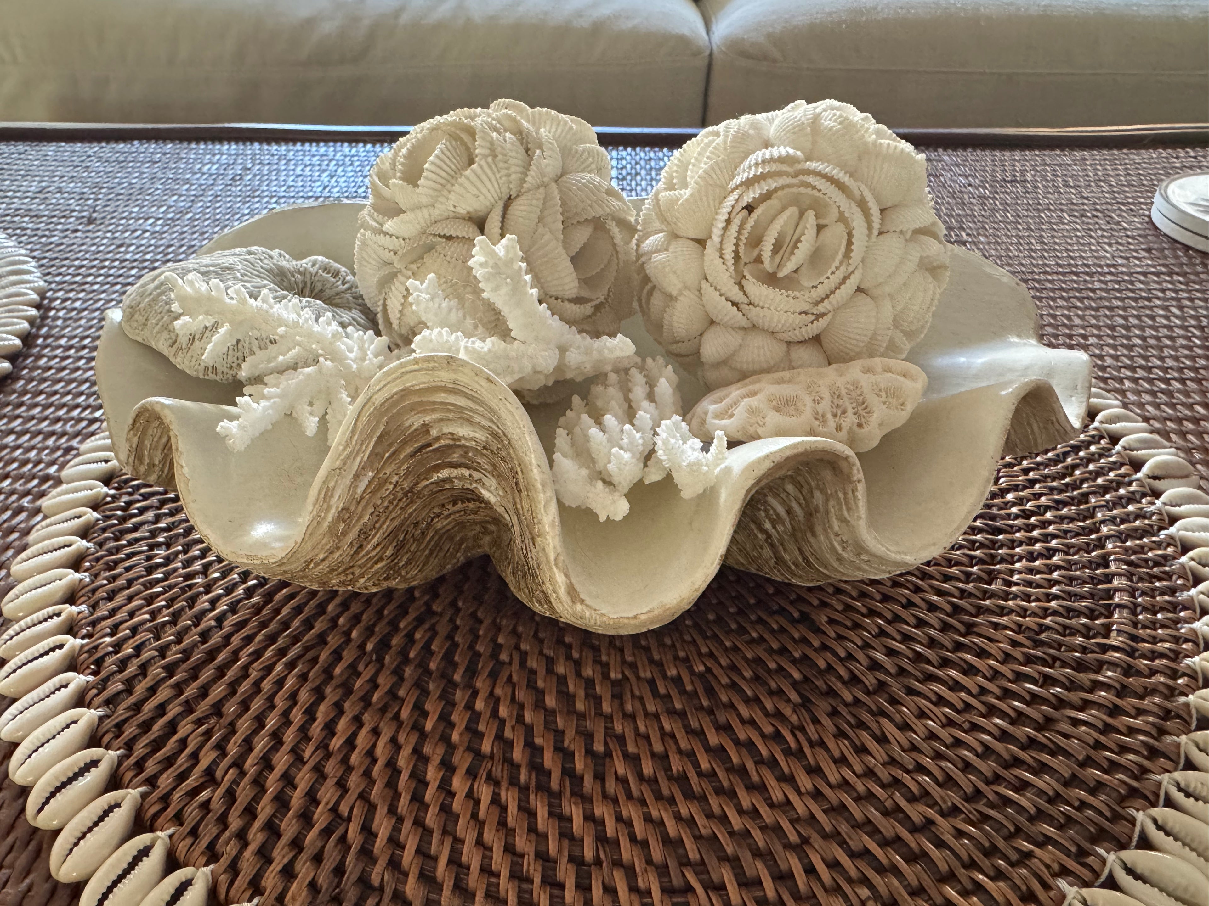 Resin Clam Shell - Small