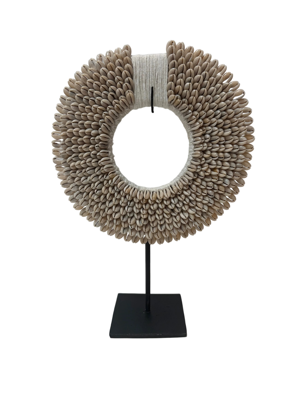 Cowrie Shell Hoop