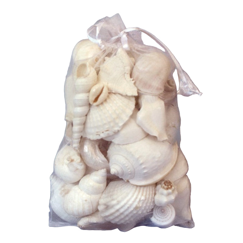 Reef Shell Bag - White