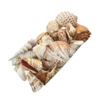 Reef Shell Box - Neutrals