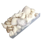 Reef Shell Box - White Pearl