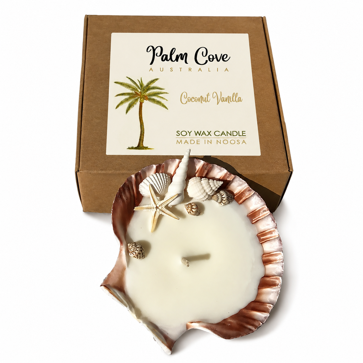 Scallop Shell Candle